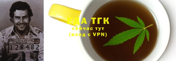 тгк Бородино